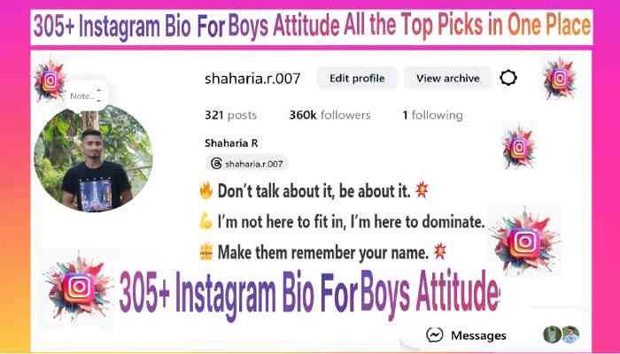 Instagram Bio For Boys Attitude