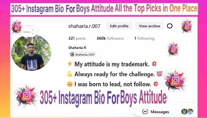 Instagram Bio For Boys Attitude