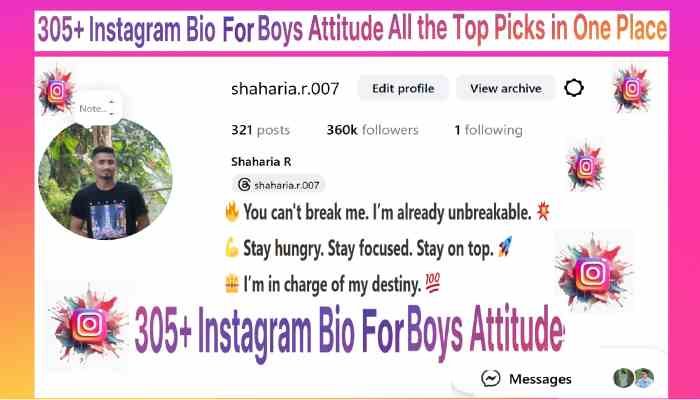 Instagram Bio For Boys Attitude